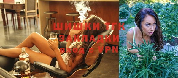 твердый Алексин