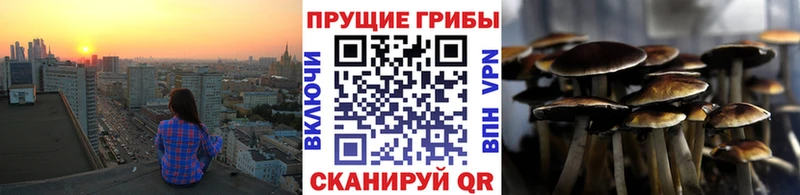 наркота  Выкса  это какой сайт  Псилоцибиновые грибы Psilocybine cubensis 